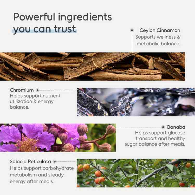 Arbor Elements Sugar Balance gummies featuring sugar-free plant-based supplement formula