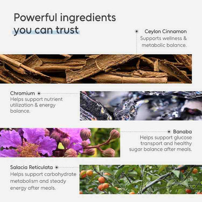 Arbor Elements Sugar Balance gummies featuring sugar-free plant-based supplement formula