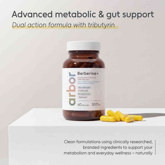 Arbor Berberine+ Capsules with GlucoVantage and CoreBiome — 60 capsules, 30-day supply
