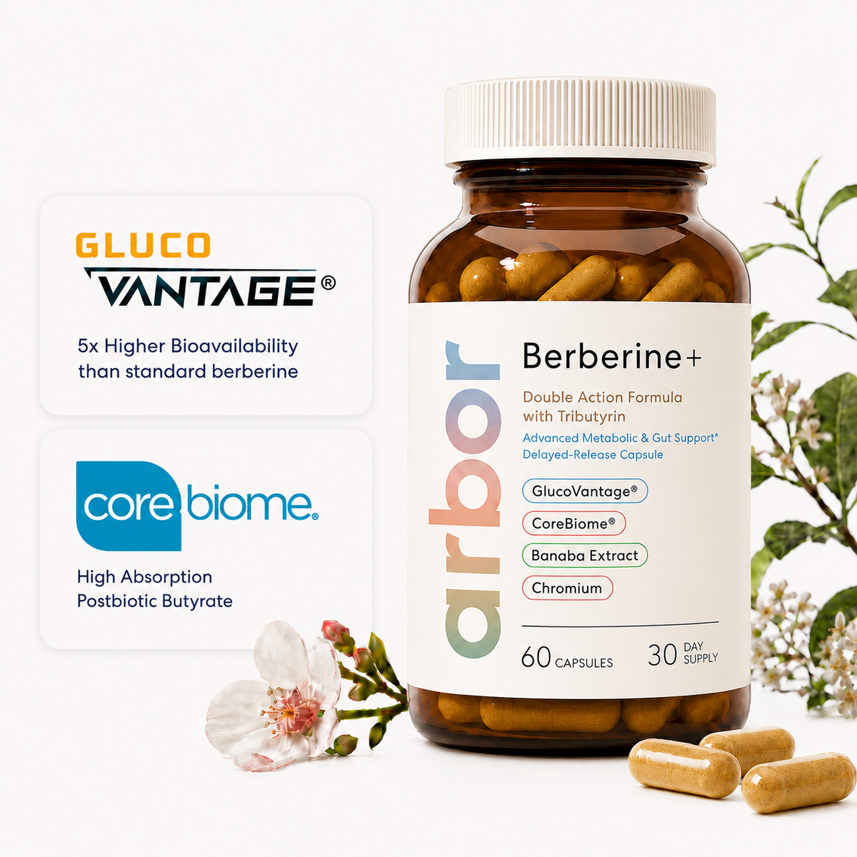Berberine+