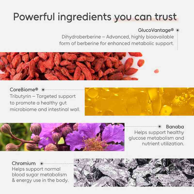 Berberine+ ingredient panel: GlucoVantage dihydroberberine, CoreBiome tributyrin, Banaba leaf, Chromium
