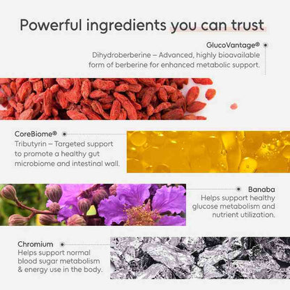 Berberine+ ingredient panel: GlucoVantage dihydroberberine, CoreBiome tributyrin, Banaba leaf, Chromium